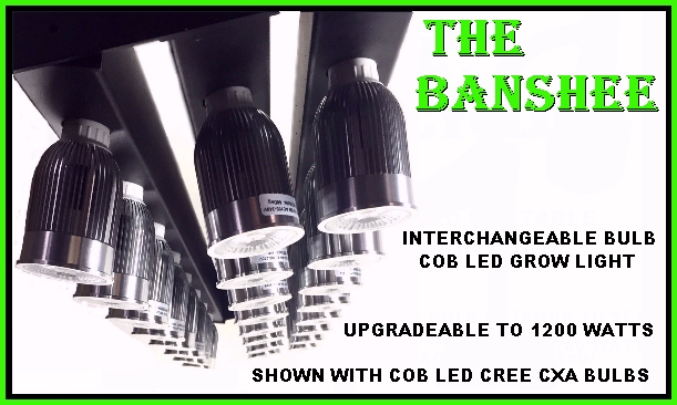 best powerful led grow lights hydroponic gardening cree cxa